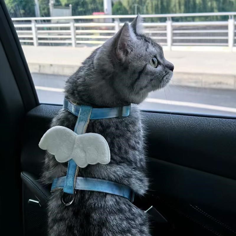 猫咪牵引绳防挣脱外出专用不勒脖工字型遛猫神器布偶德文宠物英短,淘宝优惠券,粉丝福利购,淘宝优惠卷
