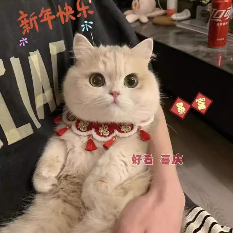 Pet New Year scarf, bib, cat and dog hat, bow tie, saliva scarf, red matching photo New Year decoration