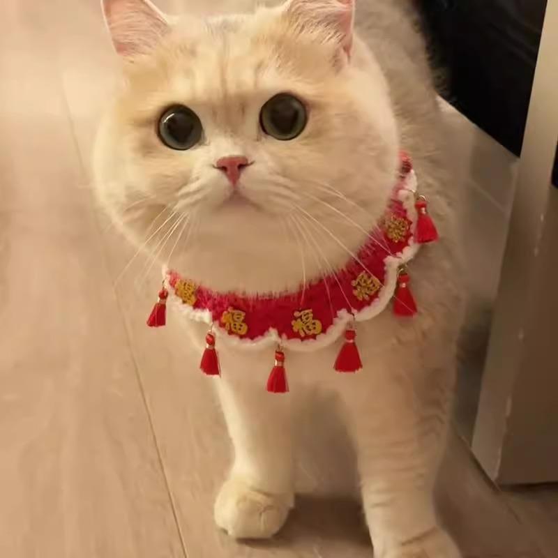 Pet New Year scarf, bib, cat and dog hat, bow tie, saliva scarf, red matching photo New Year decoration