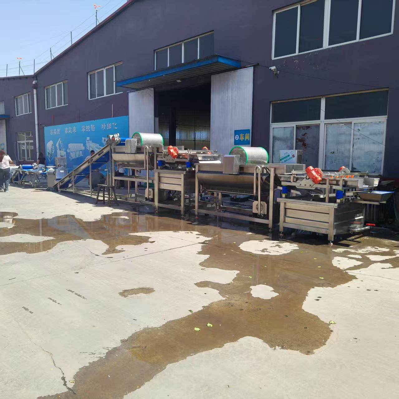 Large-scale clean vegetable processing line in central kitchen, eddy current cleaning machine for root vegetables, prepared leafy vegetables