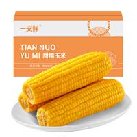【一支鲜】东北黄糯玉米250g*10棒