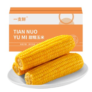 【一支鲜】东北黄糯玉米250g*10棒