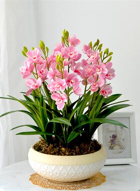高档品质蕙兰花仿真花大盆栽北欧客厅边角几套装假花摆件装饰摆设