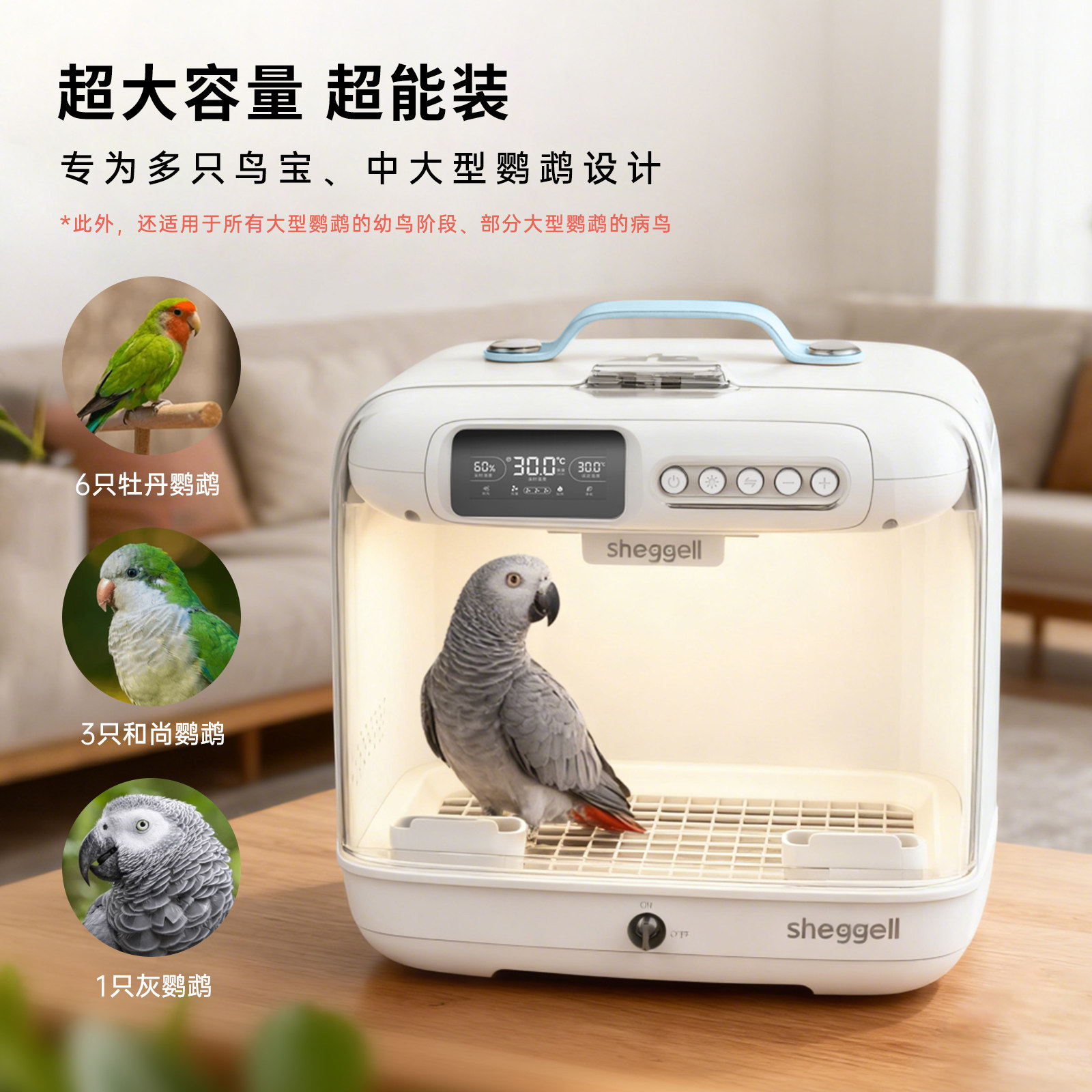 希格尔鹦鹉智能便携宠物保温箱加湿净味雏鸟幼鸟灰机和尚恒温箱 - 图1