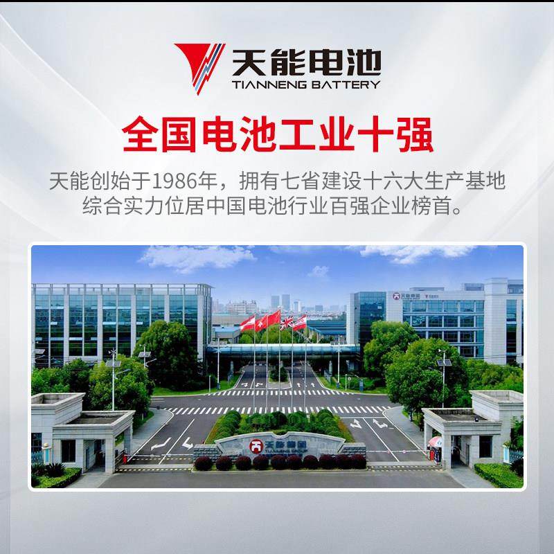 天能电子秤蓄电池专用台秤通用4v4ah/20HR精准电子称6v4.5ah电瓶,淘宝优惠券,粉丝福利购,淘宝优惠卷