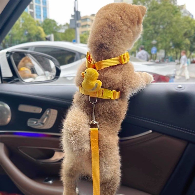 猫咪牵引绳溜猫绳可爱鸭子透气胸背防挣脱外出专用可调节宠物用品,淘宝优惠券,粉丝福利购,淘宝优惠卷