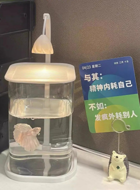 鱼缸斗鱼超白小型懒人玻璃缸客厅