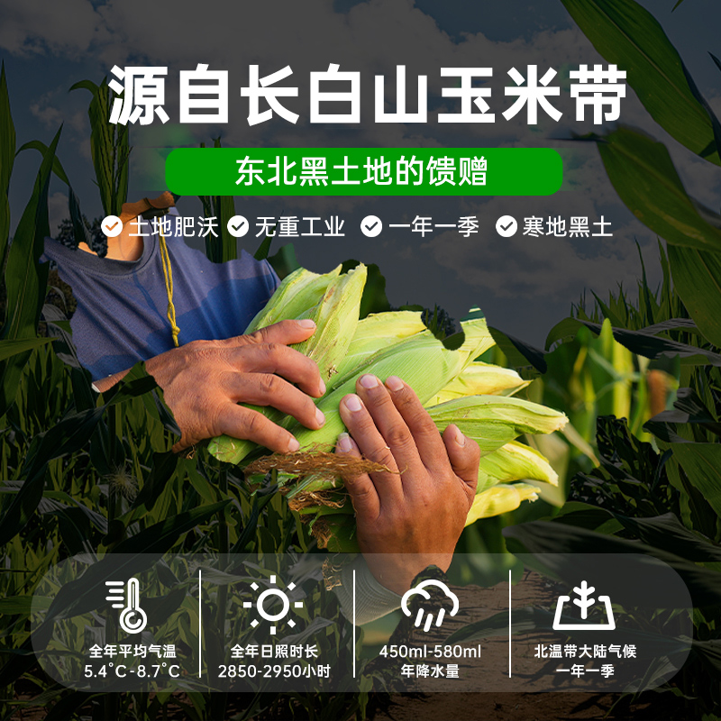 【长白山糯玉米】玉米新鲜糯玉米棒真空包装袋东北黏粘甜糯即食
