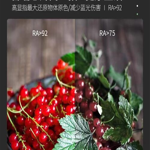 高品质工程12V24Vled灯带2835色温Ra90高显指270L0K3500K4500K500 - 图1