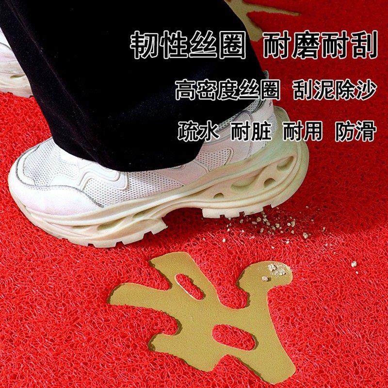 进门地毯地垫入户门垫进门红色喜庆门口门垫家用玄关防滑垫地毯,淘宝优惠券,粉丝福利购,淘宝优惠卷