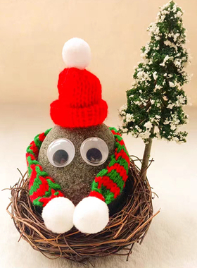 儿童节宠物石头养小石头送小朋友六一礼物小朋友男孩女孩礼物玩具