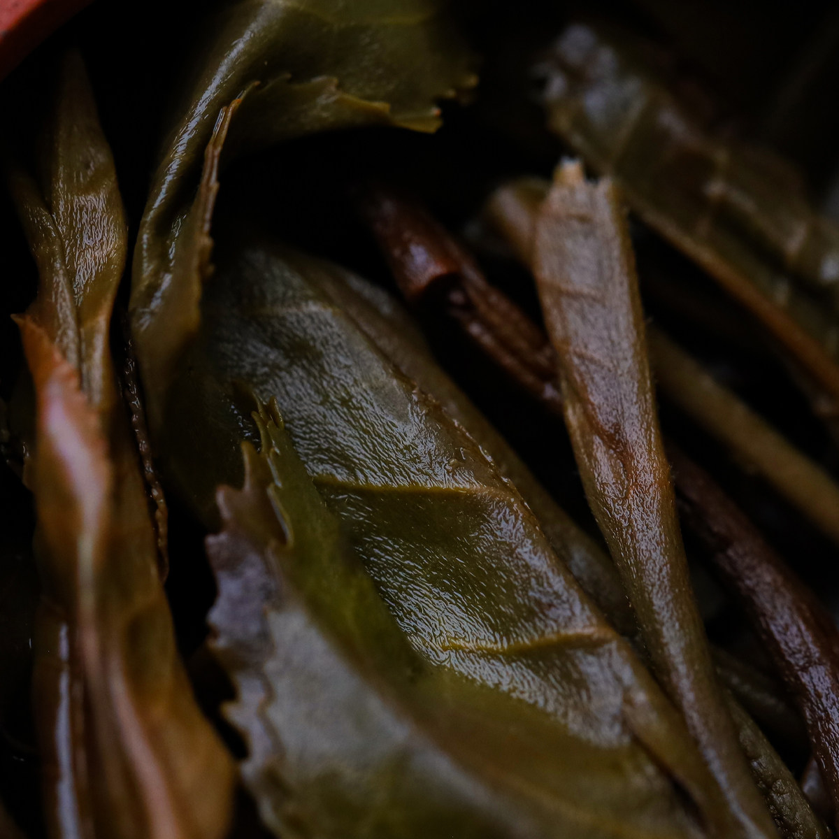 2012年易武刮风寨古树纯料春茶 生普40克分享装,淘宝优惠券,粉丝福利购,淘宝优惠卷