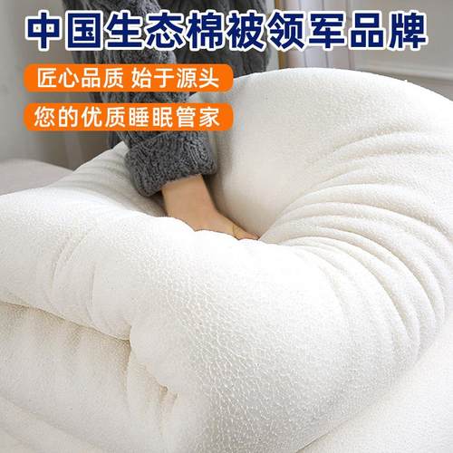 棉花被棉絮天山雪域有网被新疆棉被芯长绒棉花被夏被棉胎垫被褥子 - 图0