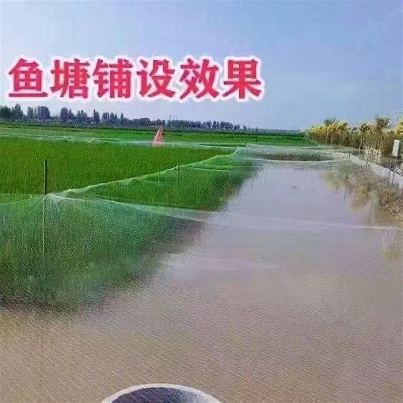 5厘米网眼池塘专用防鸟网大鸟大孔尼龙养殖牛蛙龙虾白鹭鱼塘天网,淘宝优惠券,粉丝福利购,淘宝优惠卷