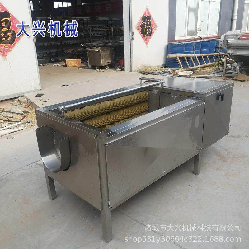 全自动姜不辣毛辊去皮清洗机 海鲜毛辊清洗机 根茎类果蔬清洗机,淘宝优惠券,粉丝福利购,淘宝优惠卷