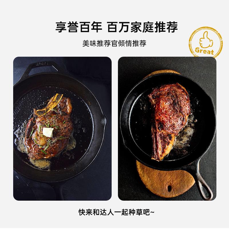 Lodge洛极 美国进口平底锅铸铁锅不易粘煎锅26cm无涂层炒锅L8SK3 - 图3