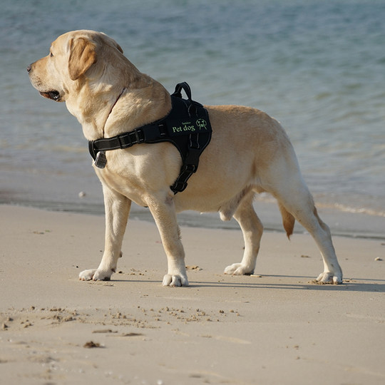 热销宠物护胸胸背带防爆冲挣脱柯基金毛边牧小中大型犬狗狗牵引绳