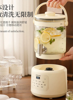 德国进口养生壶恒温家用煮茶壶