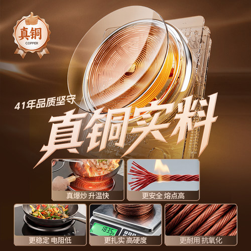 尚朋堂10A嵌入式双灶电磁炉电陶炉家用2026年新款纯铜大功率3500W - 图0
