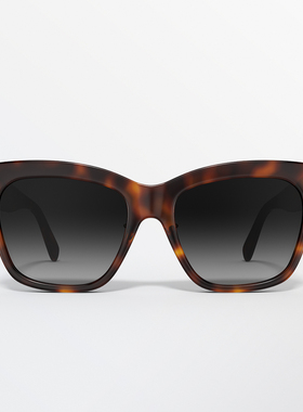 CELINE思琳墨镜女显脸小凯旋门时尚大框太阳镜TRIOMPHE 40253F