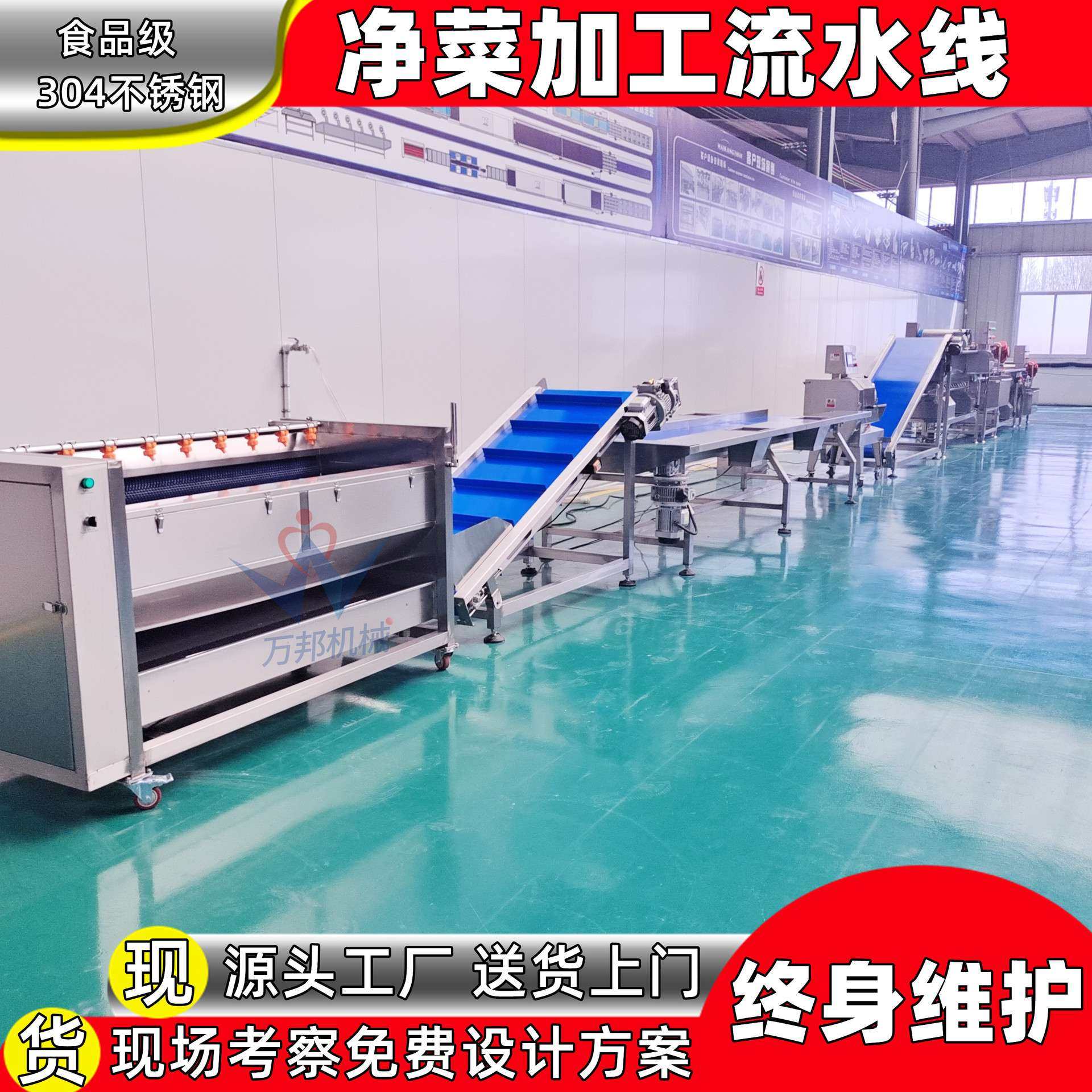 青萝卜片加工设备 速冻冻干香菜干清洗漂烫护色机 高丽菜漂烫机,淘宝优惠券,粉丝福利购,淘宝优惠卷