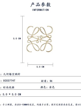 几何镂空胸针时尚百搭设计感胸花高端大气小众别针扣西装大衣配饰