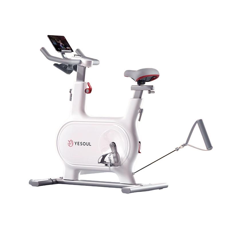 New direct-selling wild beast electromagnetic control dynamic bicycle home silent sports bicycle indoor exercise exercise bike