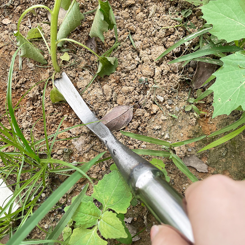 加厚挖蒜铲子刨根蚯蚓园s艺除草种花种菜工具不锈钢户外挖野菜神,淘宝优惠券,粉丝福利购,淘宝优惠卷