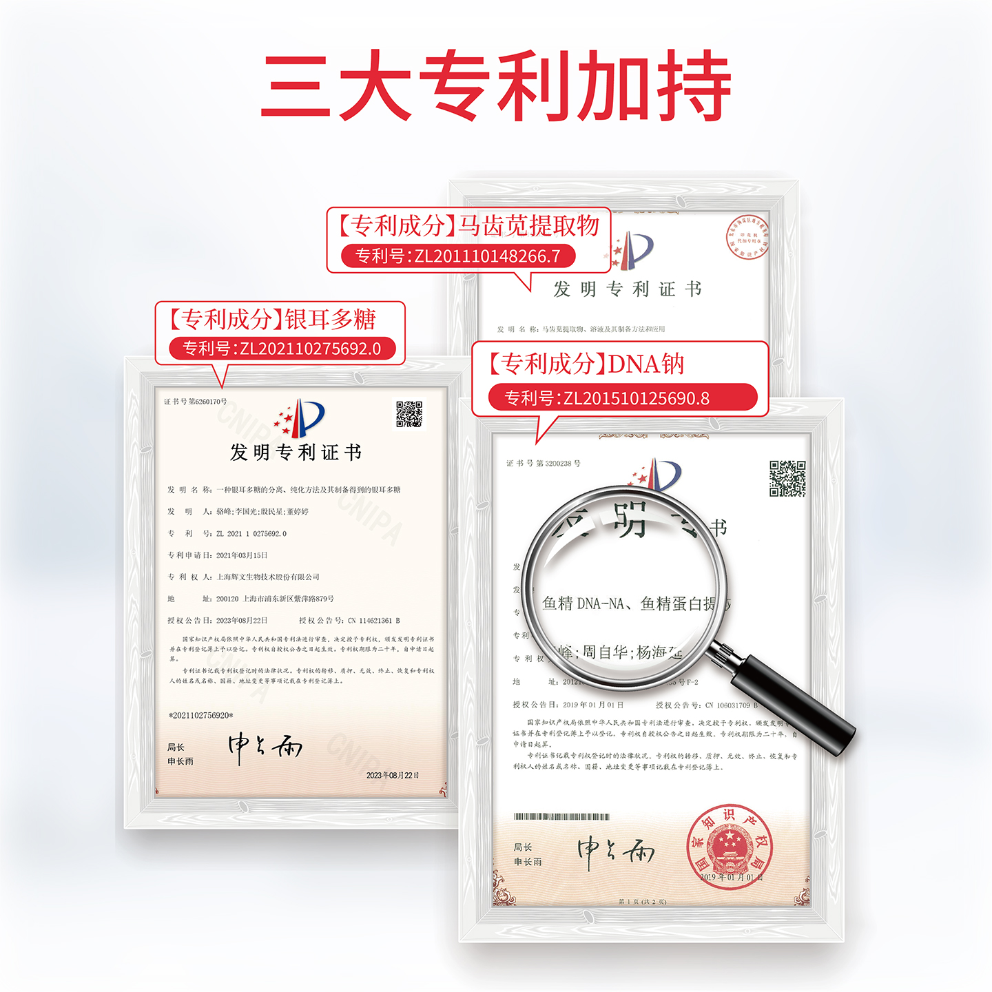 【百亿补贴】白鹿丹氨甲环酸精华液传明酸5%高浓度三文鱼pdrn抗皱 - 图2