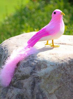 新品仿真羽毛长尾小鸟彩色凤凰鸟唯美摄影装饰道具家居客厅工艺品