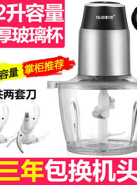 蒜泥小型电动蒜蓉不锈钢菜馅家用搅拌亚力西打绞肉机料理碎肉器