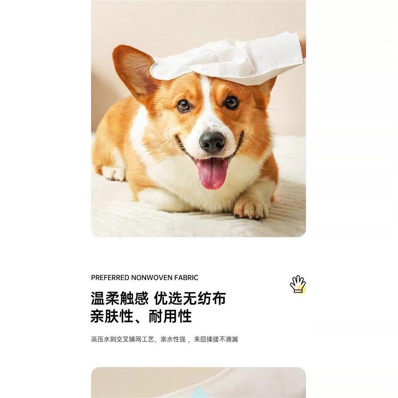 宠物免洗手套猫狗洗澡除臭按摩猫咪清洁干洗湿巾宠物用品一次性,淘宝优惠券,粉丝福利购,淘宝优惠卷