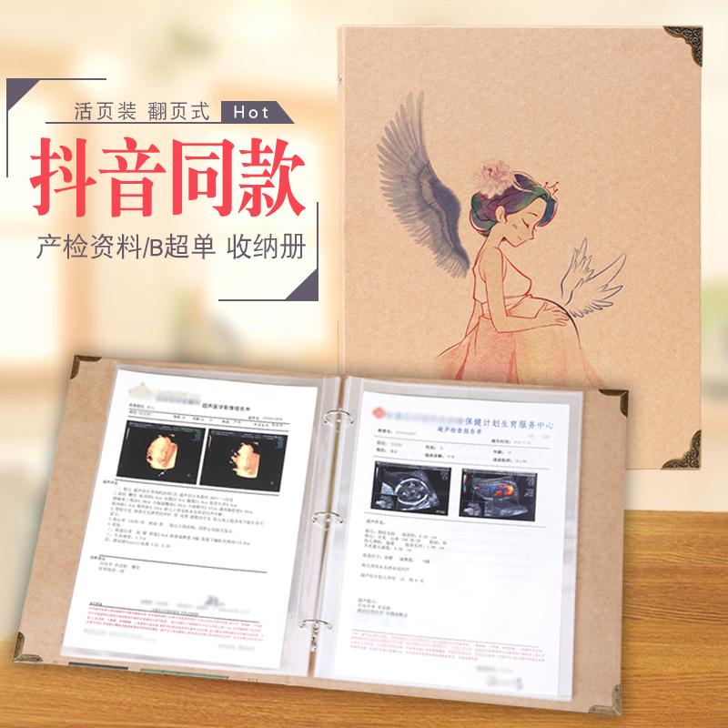 孕检单收纳册孕妇孕期产检档案册孕检资料文件夹收纳袋活页多层插 - 图0