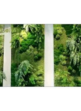 韵江南苔藓植物墙面装饰仿真青苔藓环保绿化装饰墙壁室内家居挂壁