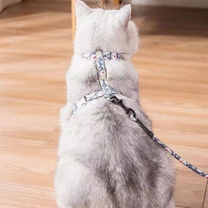 猫咪牵引绳防挣脱夏季溜猫遛猫绳可调节猫绳子拴猫链宠物狗狗外出,淘宝优惠券,粉丝福利购,淘宝优惠卷