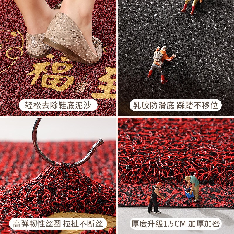 地垫入户门垫进门门口丝圈脚垫门外2024新款玄关防U滑垫子家用地 - 图1
