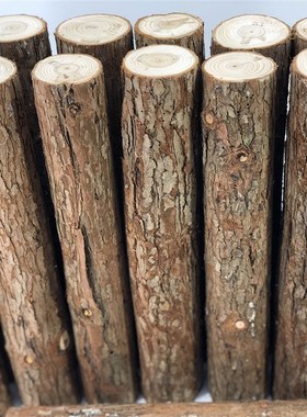 天然树木杉木干树段树桩装饰树干杉木杆枯树杆真婚庆园林圆木