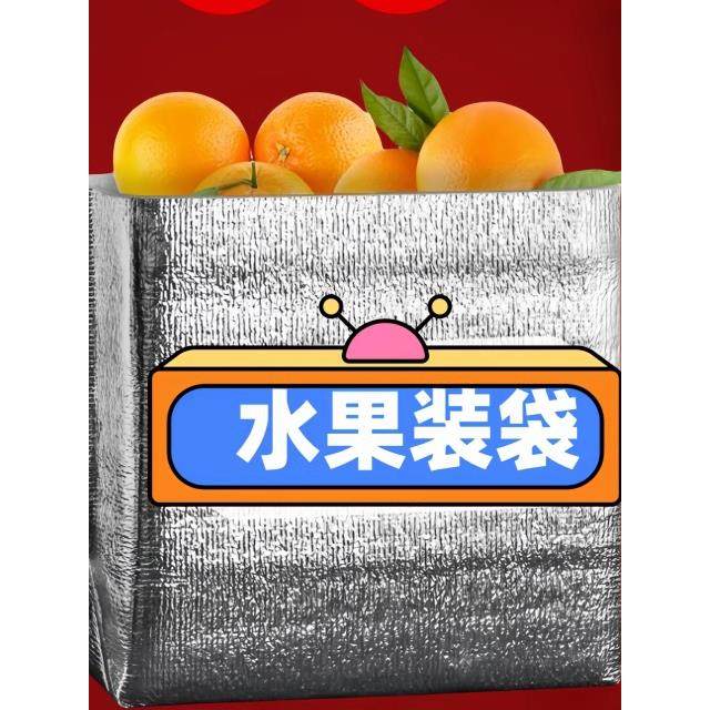 加厚特大立体保温袋铝箔外卖打包快递专用水果生鲜海鲜隔热冷藏袋,淘宝优惠券,粉丝福利购,淘宝优惠卷