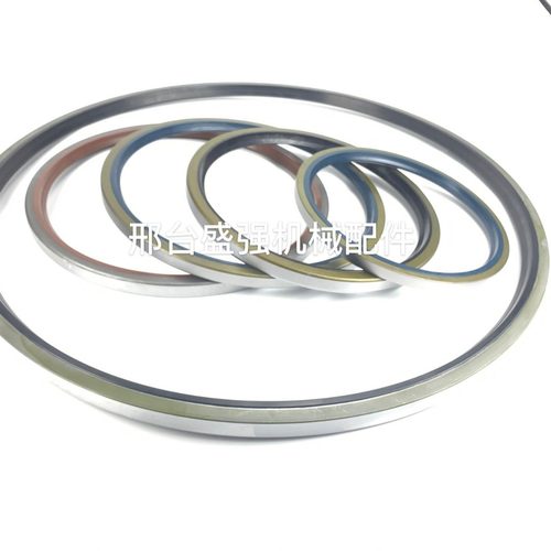 电厂磨辊机用大型油封大直径尺寸油封AB6366A0 SBB/SA710*760*25 - 图1