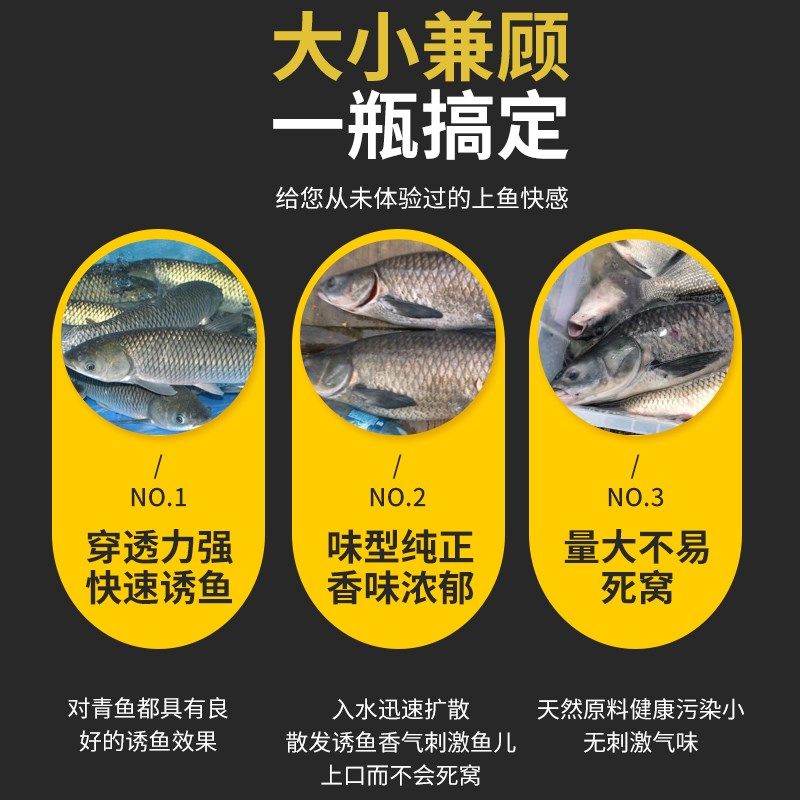 速发用鱼小药黑坑专青泡滑蛳颗粒玉米蚕豆螺丝主攻钓老螺鱼黑鲩克,淘宝优惠券,粉丝福利购,淘宝优惠卷