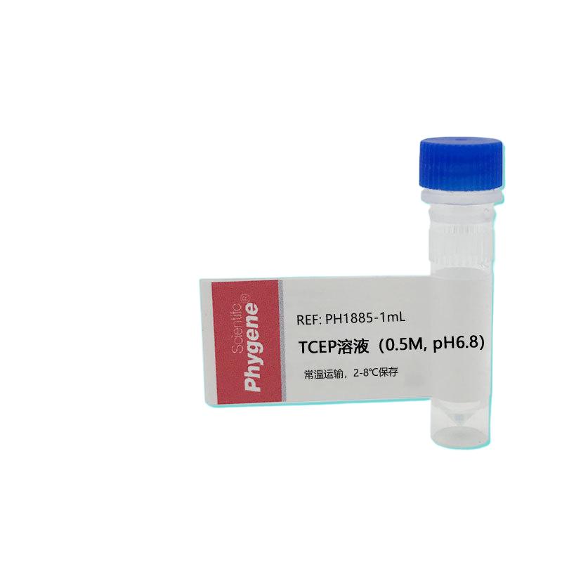 TCEP溶液（0.5M, pH6.8）1mL/5mL/10mL 替代DTT [PH1885 PHYGENE] - 图1