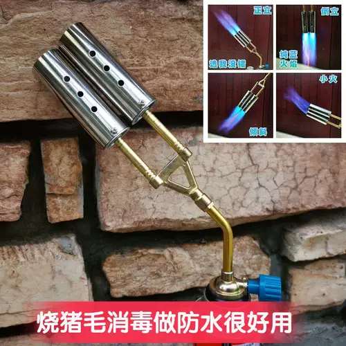 Два -типичный опрыскивающий огнестрельное огнестрельное огнестрельное огнестрельное огнестрельное оружие из свиного распылитель