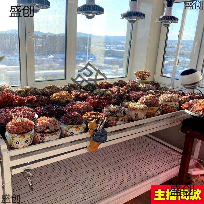 花架多层水日落地台排37241风扇补光灯养多肉阳浇式块根植物不锈,淘宝优惠券,粉丝福利购,淘宝优惠卷
