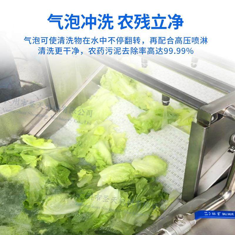 果蔬清洗机商用全自动气泡不锈钢超声波喷淋洗菜机净果,淘宝优惠券,粉丝福利购,淘宝优惠卷