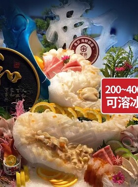 颗粒制冰机XLJ-200雪花冰沙冰碎冰机实验室餐厅冰粒机商用+立式