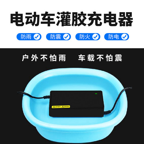 琳茵适用立马电动车电瓶车充电器36V48V60V72V12AH20AH立马充电器 - 图2