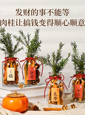 肉桂生财摆件瓶子diy工位办公室乔迁新居开业礼物搬家香薰摆件