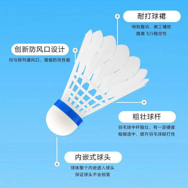 仿真鹅毛尼龙羽毛球耐打防风比赛10只装套装正品不易学生训练室外,淘宝优惠券,粉丝福利购,淘宝优惠卷