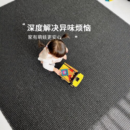 客厅地毯2025新款卧室床边毯免打理极简风黑色轻奢高级剑麻纹地垫 - 图3