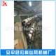 Manufacturer window screen coating machine mesh coating machine plastic window screen coating machine price discount
